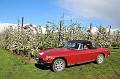 MG Bloesemrit op 24-4-2016 org. Jos&Marie-lou  (302)